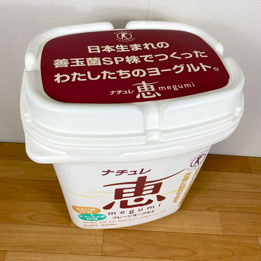 【希少】非売品 ナチュレ恵　ヨーグルト　ジャンボパッケージ　特大　販促用 置き物