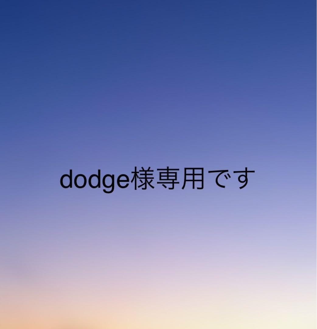 【専用】dodgeです
