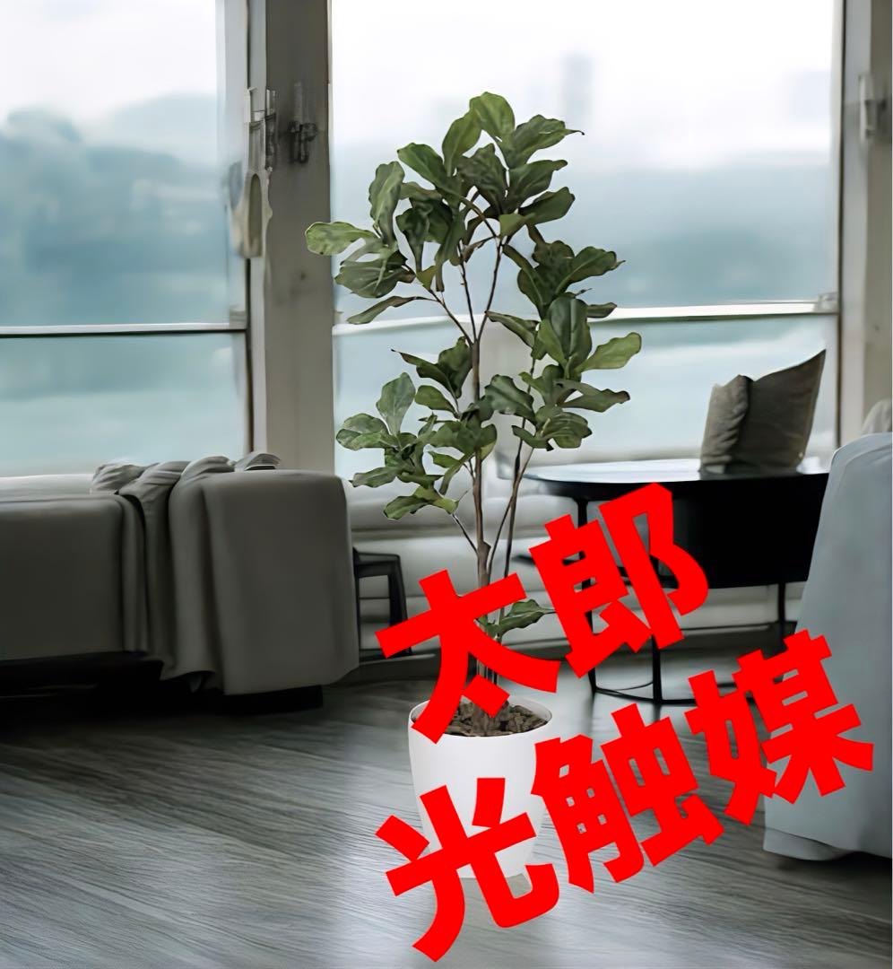 光触媒　人工観葉植物　ウォールグリーン　フェイクグリーン　カシワバゴム180