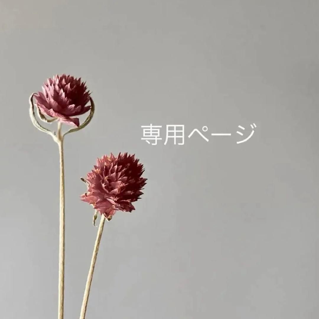 singlecusk様ꕤ*.゜