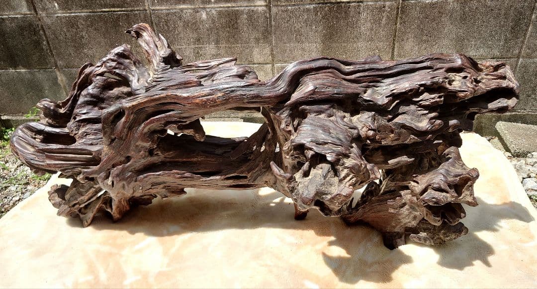 天然木根瘤 自然造形花器 置物 鑑賞木 瘤木 木のオブジェ 根木台 飾台 木目