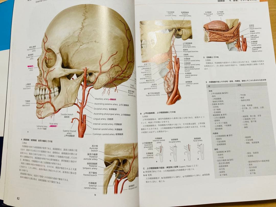 プロメテウス解剖学アトラス 第2版　3冊セット