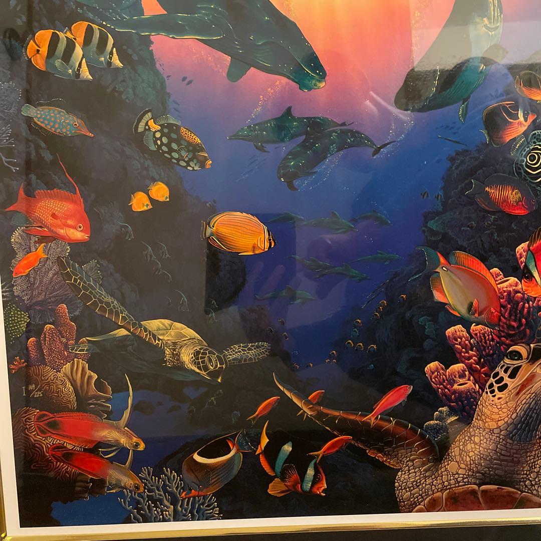 ラッセン　コスモス【Ｌ】