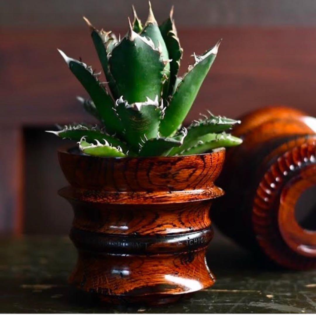 GNU × ICHIGU 漆鉢　新品未使用